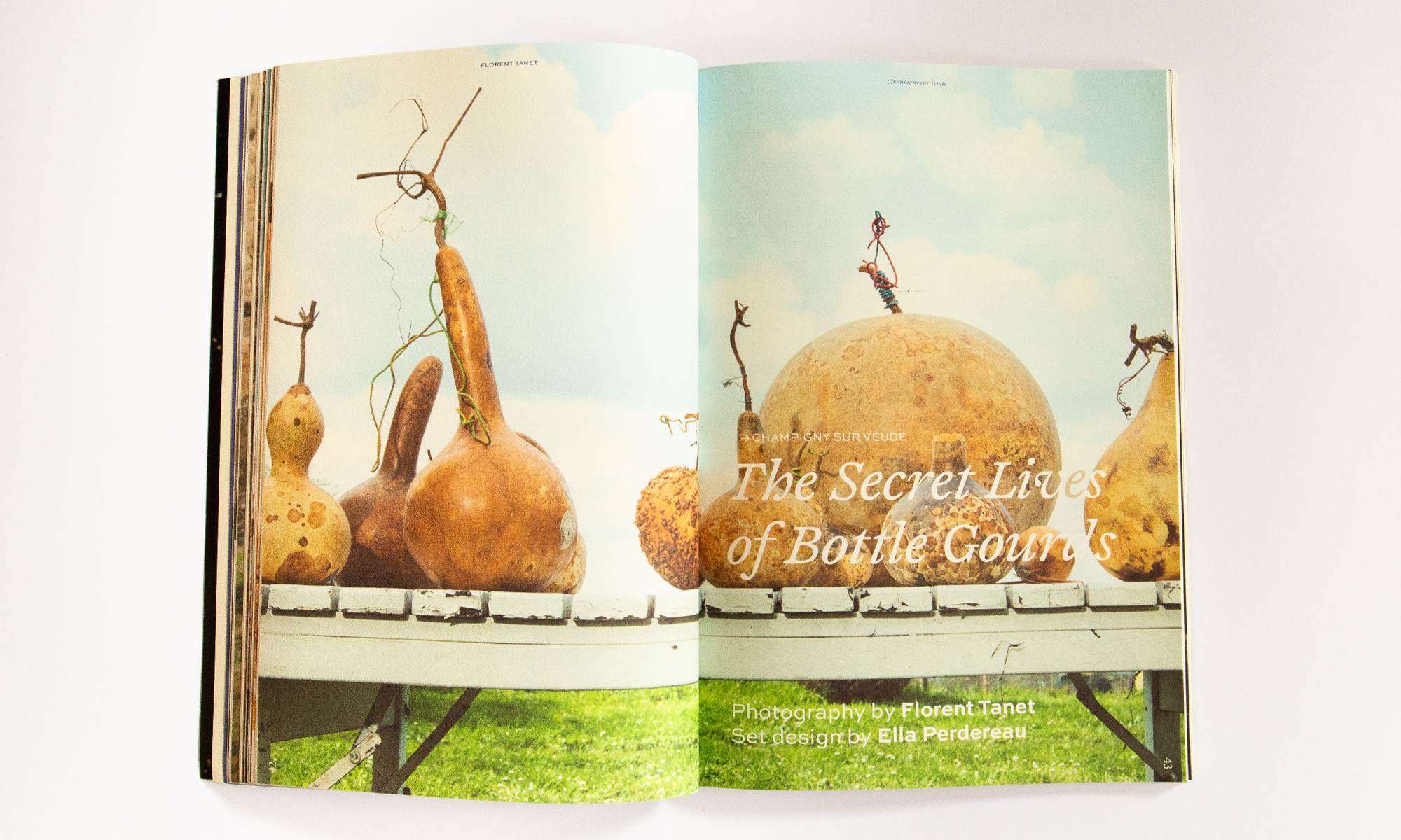 branding studio graphic design amsterdam